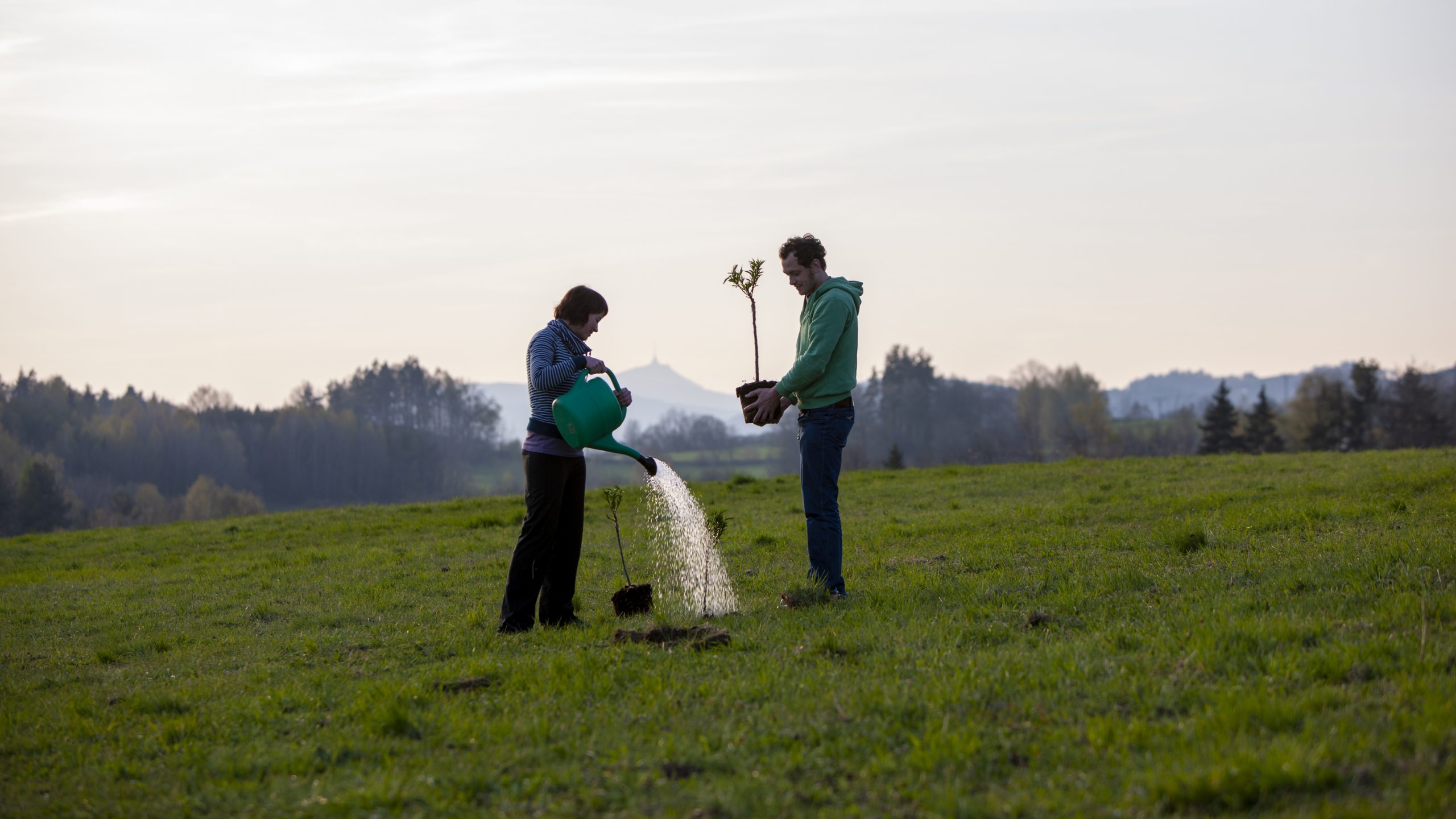 A young couple planting a tree on a grass field. Photographer Tuomas Harjumaaskola.