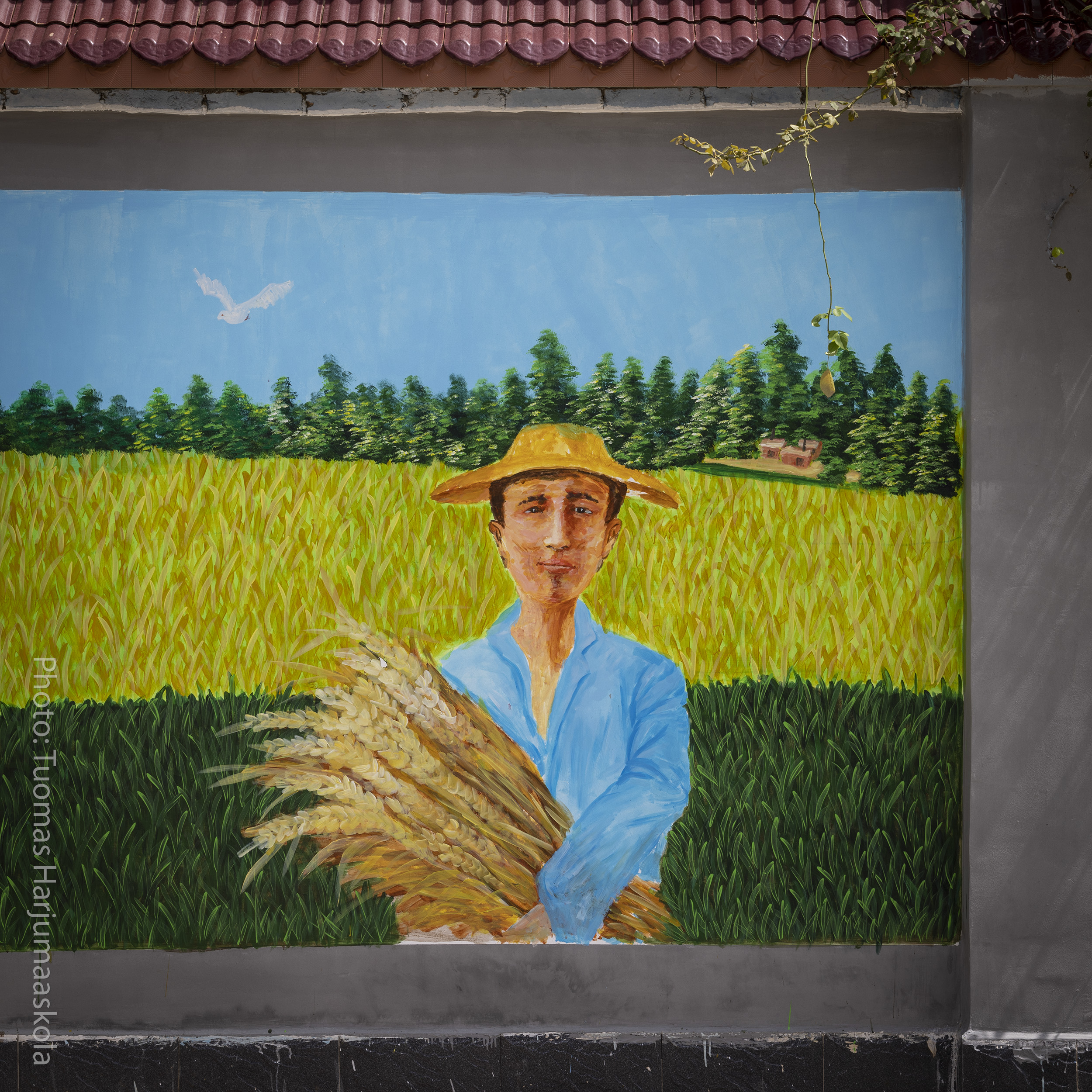 Chinese wall painting, wall art, a painted farmer holding crops. Photographer Tuomas Harjumaaskola.