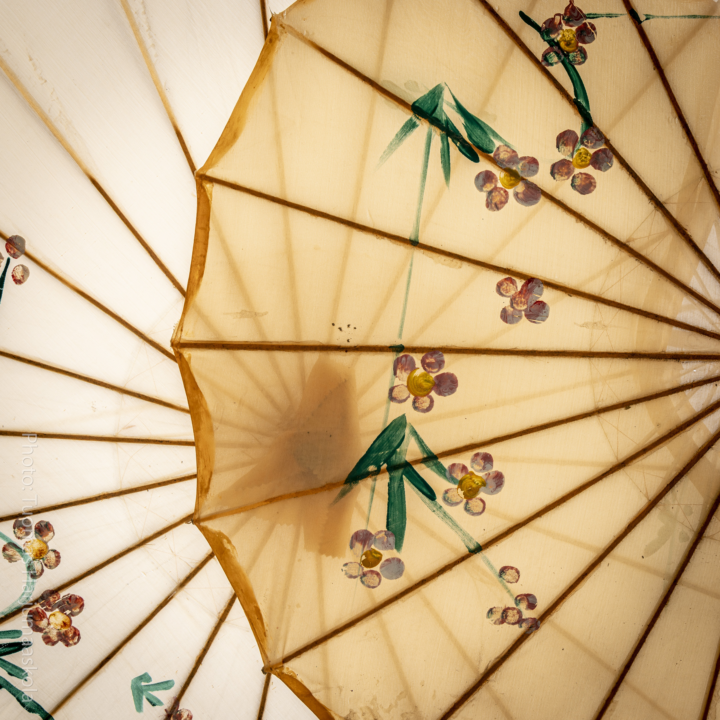 Chinese umbrellas decoration. Photographer Tuomas Harjumaaskola.