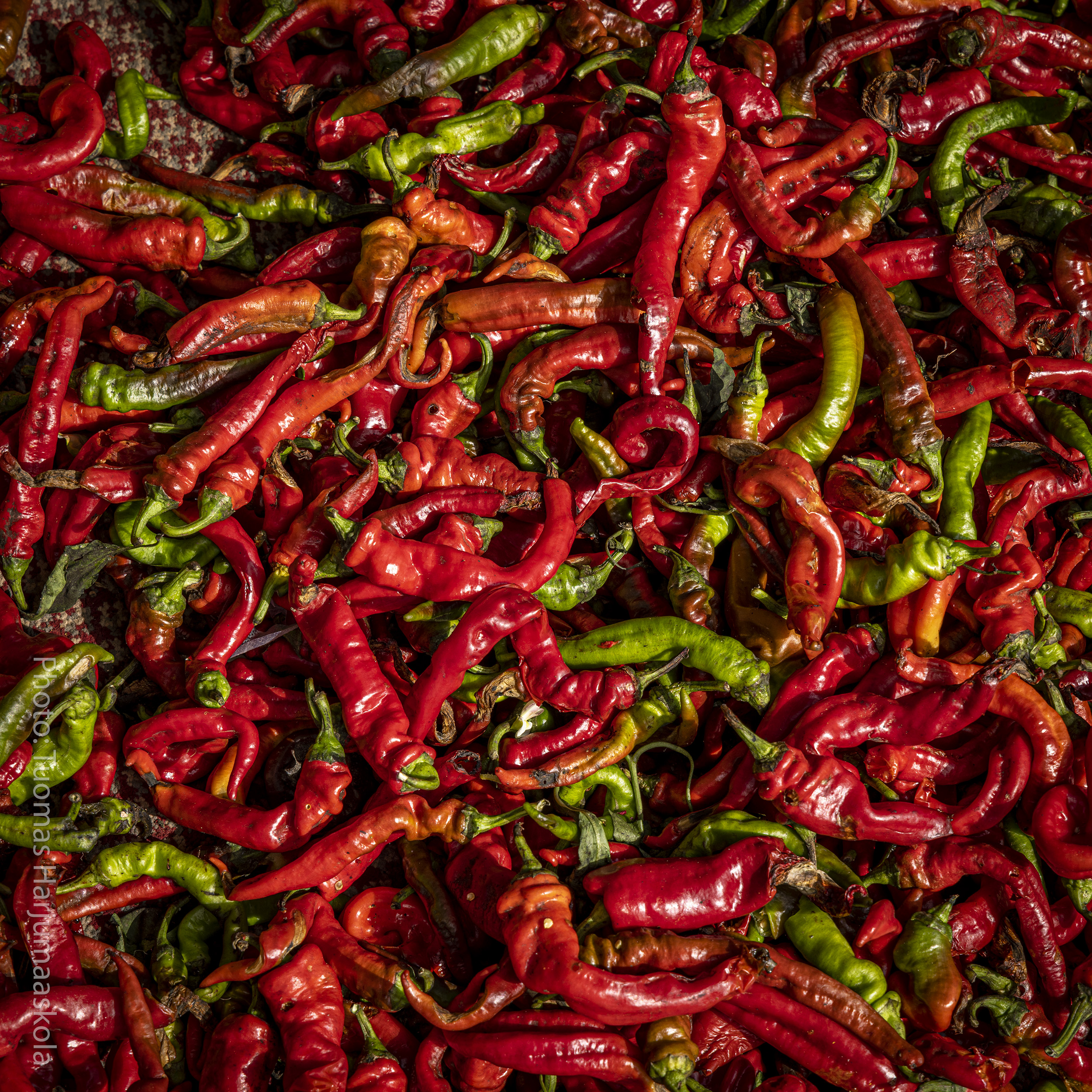 Red chili peppers at a Chinese food market. Photographer Tuomas Harjumaaskola.